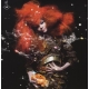 Björk - Biophilia (2 LP)