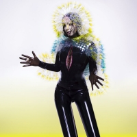 Предзаказ нового альбома Björk
